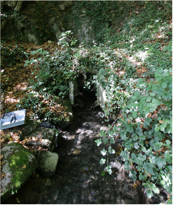 Résurgence de la Vilaine Source (station VS-12)